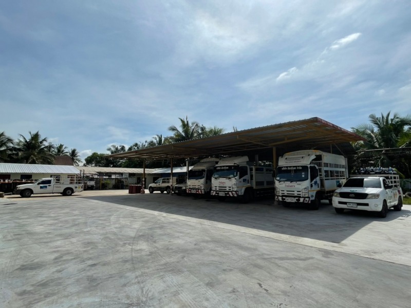 กระบี่อ๊อกซิเทค